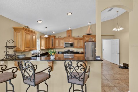 House in Lady Lake, Florida 4 bedrooms, 293.57 sq.m. № 2239256 - photo 25