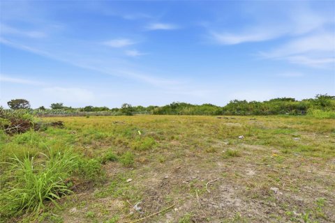 Immobilier commercial à vendre à Miami, Floride № 2018070 - photo 15