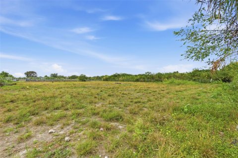 Immobilier commercial à vendre à Miami, Floride № 2018070 - photo 26