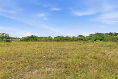 Immobilier commercial à vendre à Miami, Floride № 2018070 - photo 17