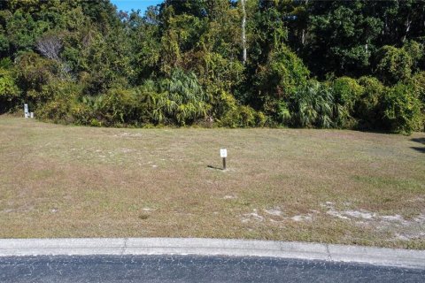 Land in Spring Hill, Florida № 2206188