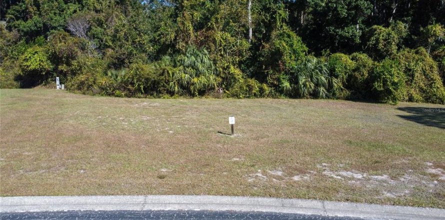 Land in Spring Hill, Florida № 2206188
