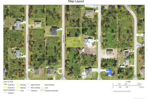 Land in Port Charlotte, Florida № 2218332 - photo 4