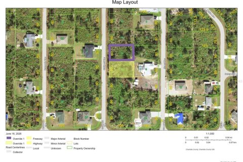 Land in Port Charlotte, Florida № 2218332 - photo 3