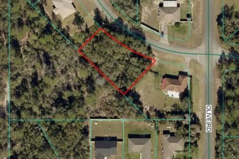 Land in Ocala, Florida № 2345340