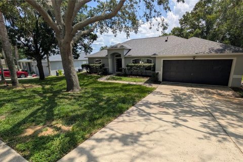 Villa ou maison à Minneola, Floride 3 chambres, 173.73 m2 № 2120337