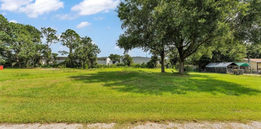 Terreno en Lakeland, Florida № 1831269