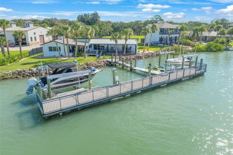 Villa ou maison à vendre à Ponce Inlet, Floride: 5 chambres, 383.13 m2 № 2400043 - photo 3