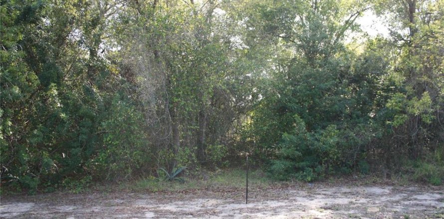 Terreno en Lake Wales, Florida № 1057220
