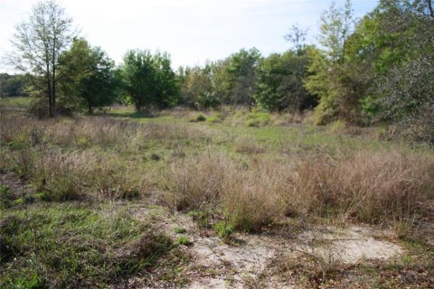 Terreno en venta en Lake Wales, Florida № 1057220 - foto 8