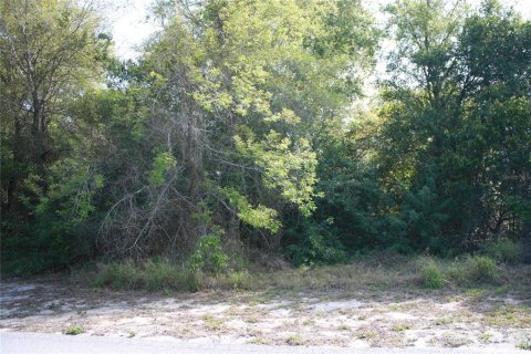 Terreno en venta en Lake Wales, Florida № 1057220 - foto 2