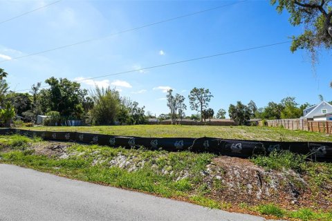 House in Sarasota, Florida 3 bedrooms, 266.82 sq.m. № 2233206 - photo 30