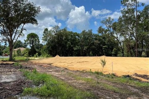 Land in Kissimmee, Florida № 2165487
