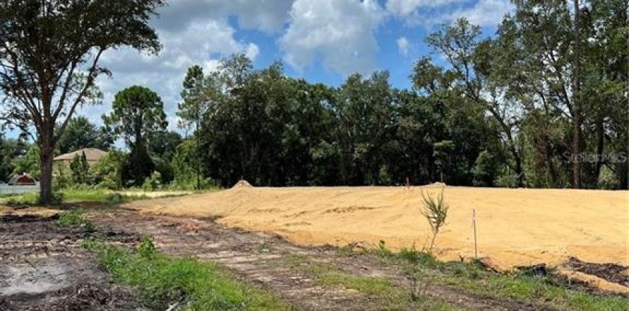 Land in Kissimmee, Florida № 2165487