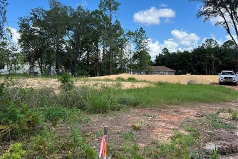 Land in Kissimmee, Florida № 2165487 - photo 2