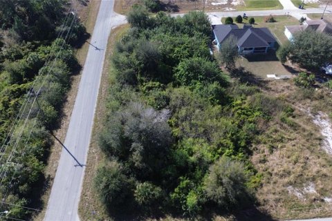 Terreno en venta en Lehigh Acres, Florida № 2161722 - foto 3