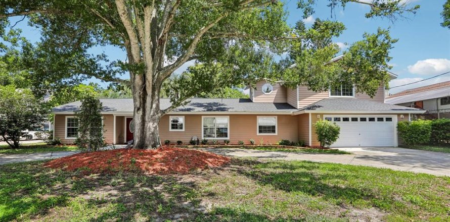 House in Palm Harbor, Florida 4 bedrooms, 311.59 sq.m. № 2304732