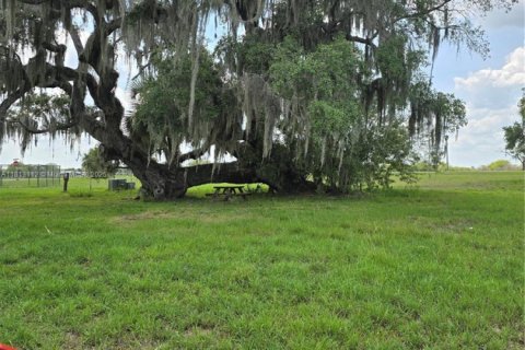 Villa ou maison à vendre à LaBelle, Floride: 3 chambres, 215.53 m2 № 1935970 - photo 3