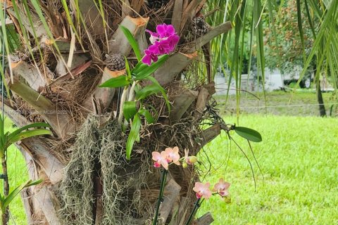 House in Naples, Florida 3 bedrooms № 1889365 - photo 23