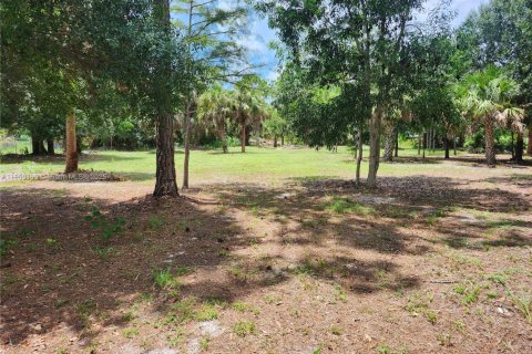 House in Naples, Florida 3 bedrooms № 1889365 - photo 22