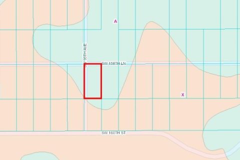 Land in Dunnellon, Florida № 2164213 - photo 12