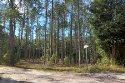Land in Dunnellon, Florida № 2164213