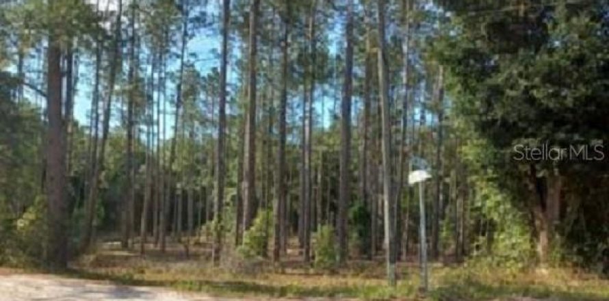 Land in Dunnellon, Florida № 2164213