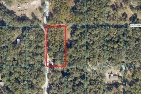 Land in Dunnellon, Florida № 2164213 - photo 8
