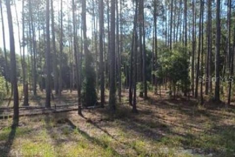 Land in Dunnellon, Florida № 2164213 - photo 2