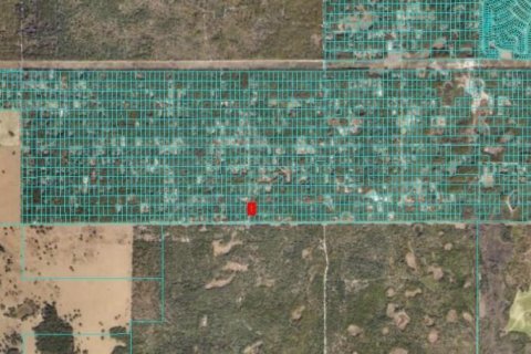 Land in Dunnellon, Florida № 2164213 - photo 9