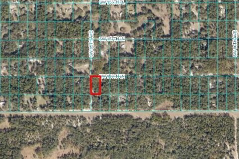 Land in Dunnellon, Florida № 2164213 - photo 7