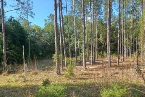 Land in Dunnellon, Florida № 2164213 - photo 3
