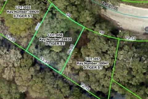 Terrain à Dade City, Floride № 2159810