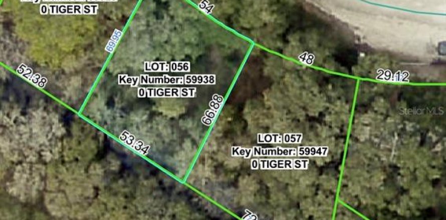 Terrain à Dade City, Floride № 2159810