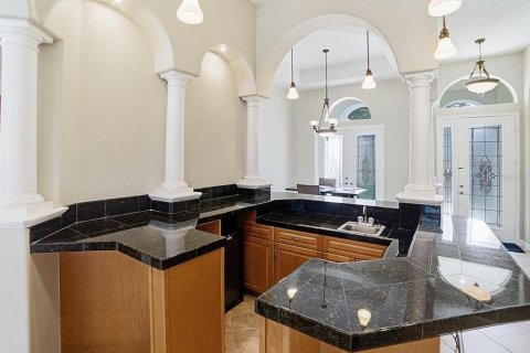 Casa en venta en Howey-in-the-Hills, Florida, 4 dormitorios, 225.85 m2 № 2213098 - foto 10