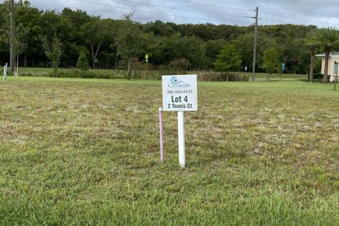Land in Palm Coast, Florida № 217786 - photo 3