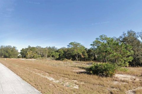 Land in Kissimmee, Florida № 2107496 - photo 2
