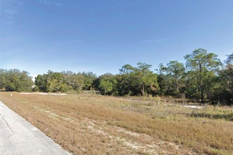 Terreno en Kissimmee, Florida № 2107496