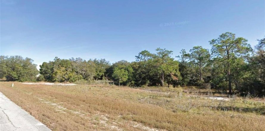 Land in Kissimmee, Florida № 2107496