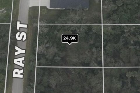 Land in Port Charlotte, Florida № 2203009 - photo 8