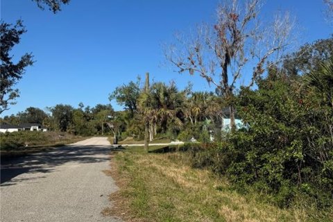 Land in Port Charlotte, Florida № 2203009 - photo 5