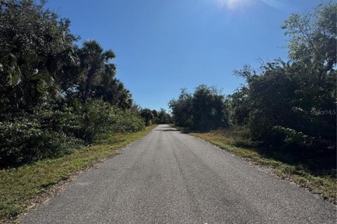 Land in Port Charlotte, Florida № 2203009 - photo 6