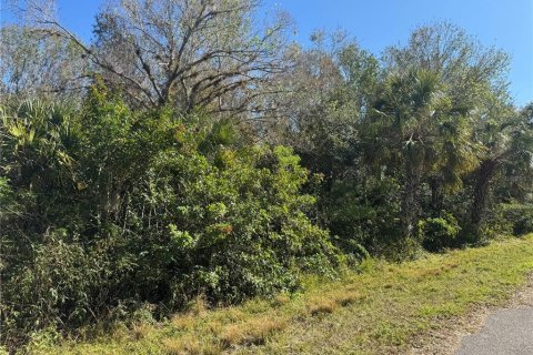 Land in Port Charlotte, Florida № 2203009 - photo 3