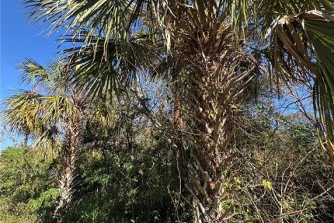 Land in Port Charlotte, Florida № 2203009 - photo 4