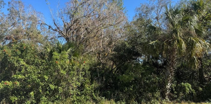 Land in Port Charlotte, Florida № 2203009