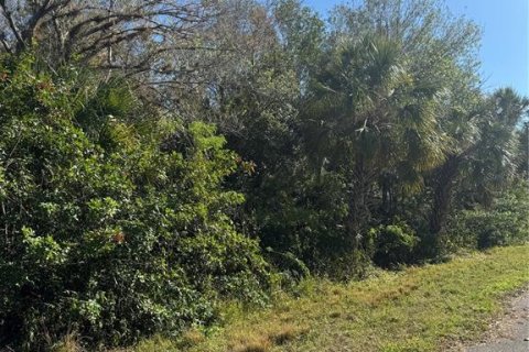Land in Port Charlotte, Florida № 2203009 - photo 7