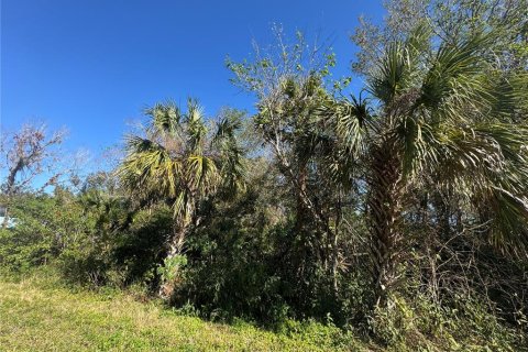 Land in Port Charlotte, Florida № 2203009 - photo 2