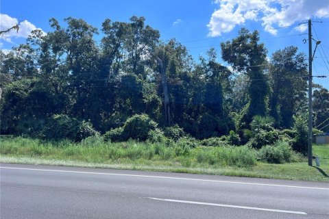 Land in Fanning Springs, Florida № 1336937 - photo 1