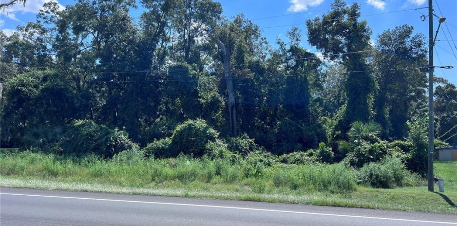 Land in Fanning Springs, Florida № 1336937