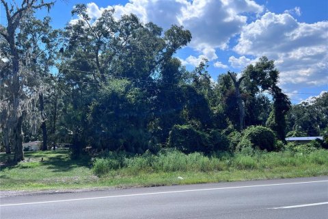 Land in Fanning Springs, Florida № 1336937 - photo 2